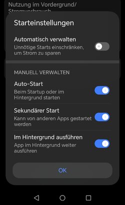 Screenshot_20250903_123529_com_hihonor_systemmanager_DetailOfSoftConsumptionActivi_edit_726438...jpg