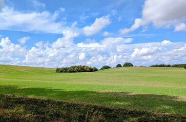IMG_0624.jpeg