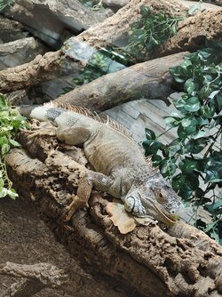 IMG_20250903_161341271.jpg
