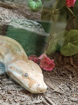 IMG_20250903_161830119~2.jpg