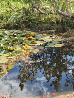 IMG_20250903_162807036.jpg
