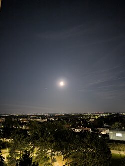 1000035220.jpg