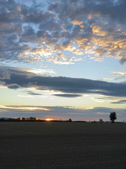 IMG_20250903_194941.jpg