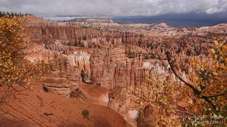 20181008_135310.jpg