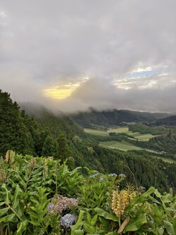 IMG_20250903_193103.jpg