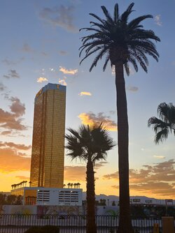 IMG_20250901_190346.jpg
