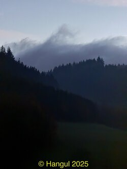 IMG_2534.jpeg