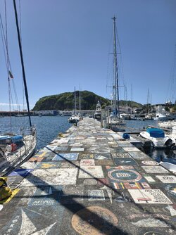 IMG_20250831_122257.jpg