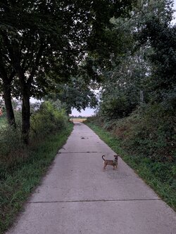 PXL_20250904_043519544.jpg