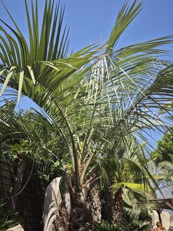 IMG_20250904_145646.jpg