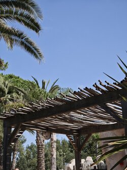 IMG_20250904_145628.jpg