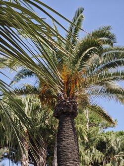 IMG_20250904_145621.jpg