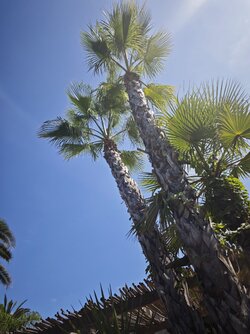 IMG_20250904_145609.jpg