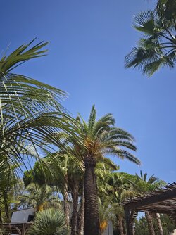 IMG_20250904_145558.jpg