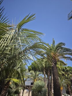 IMG_20250904_145555.jpg