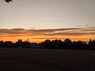 IMG_20250904_062046.jpg