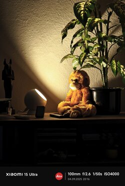 IMG_20250904_201657.jpg