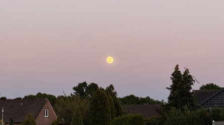 2025-05-11_03_Vollmond.jpg
