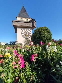 IMG_20250904_173420.jpg