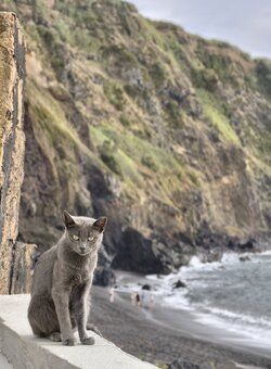 IMG_20250904_172956_1.jpg