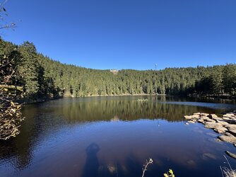 IMG_2167 2.jpeg