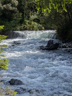 PXL_20250905_132055857.jpg