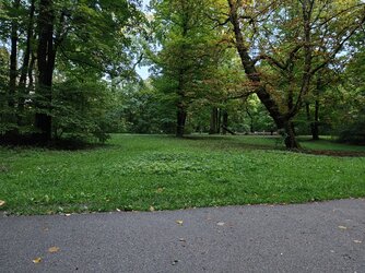 IMG20250905191118.jpg