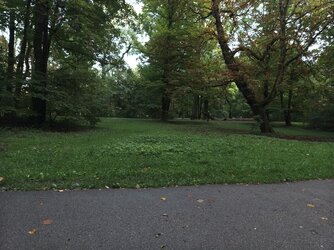 IMG_250905_191058.jpg