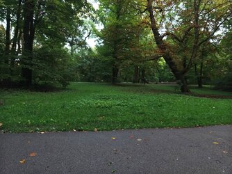 IMG_20250905_193434_1.jpg