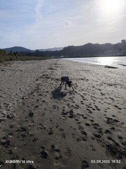 IMG_20250905_185256.jpg