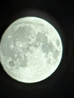 PXL_20250905_201500990.BURST-02.original.jpg