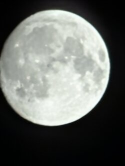 PXL_20250905_201505776.BURST-02.original.jpg