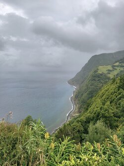 IMG_20250905_163212 (1) (1).jpg