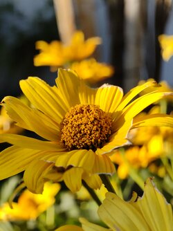 IMG_20250905_175815832.jpg