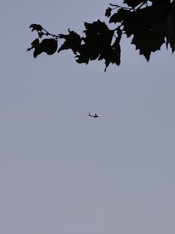 IMG_20250903_200824019~2.jpg