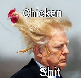 20250906_172303.jpg