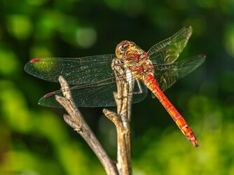 IMG20250906155954.jpg