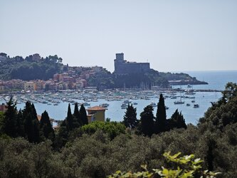 IMG_20250906_122041.jpg