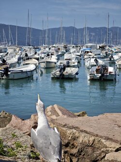 IMG_20250906_125711.jpg