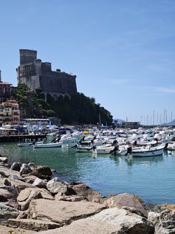 IMG_20250906_125652.jpg