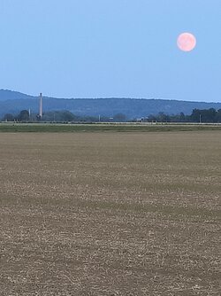 IMG_20250906_195043.jpg