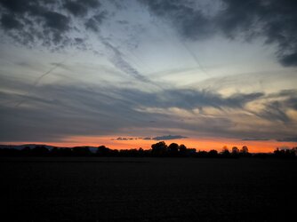 IMG_20250906_201446.jpg