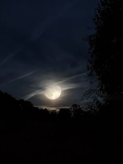 IMG_20250906_211237.jpg