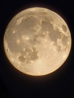 PXL_20250906_200039769.BURST-01~2.jpg