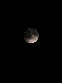 IMG_20250906_220124.jpg