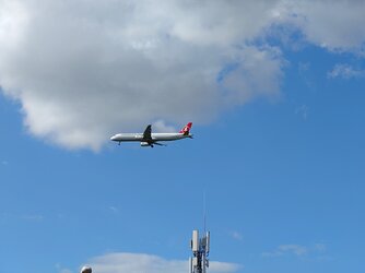 20250906_150242865.JPG