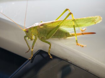 IMG_20250906_115652.jpg