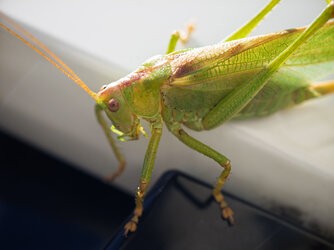 IMG_20250906_115640.jpg