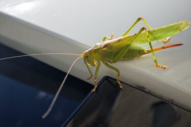 IMG_20250906_115623.jpg