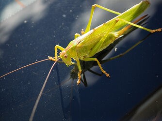 IMG_20250906_115813.jpg